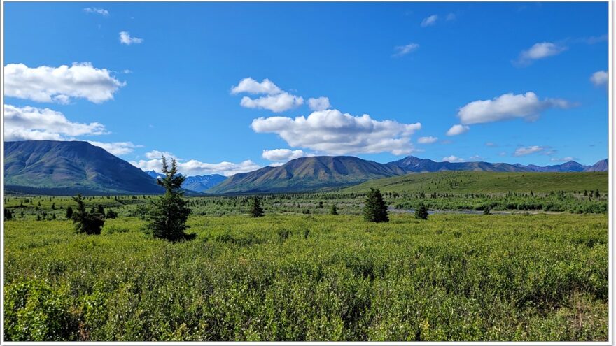 Denali Nationalpark - Mountain View Point - Alaska - USA