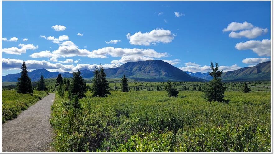 Denali Nationalpark - Mountain View Point - Alaska - USA