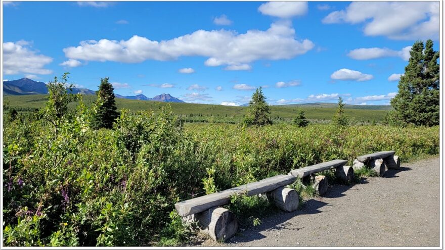 Denali Nationalpark - Mountain View Point - Alaska - USA