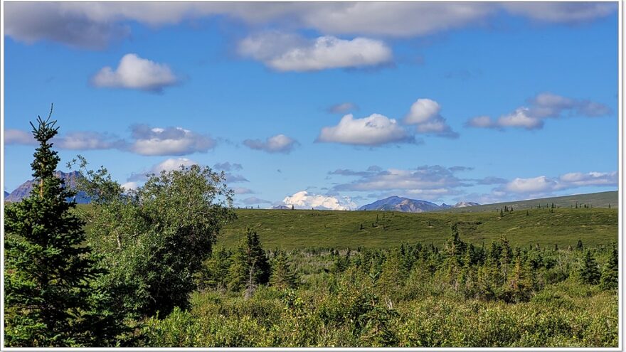 Denali Nationalpark - Mountain View Point - Alaska - USA