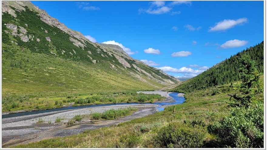 Denali Nationalpark - Savage River Trail - Alaska - USA