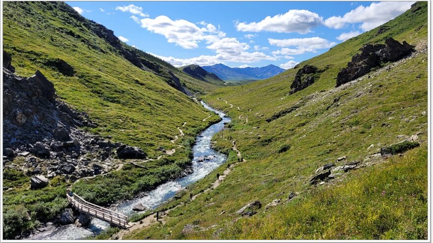 Denali Nationalpark - Savage River Trail - Alaska - USA