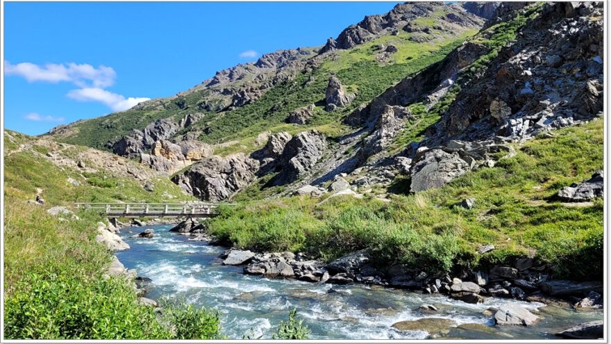 Denali Nationalpark - Savage River Trail - Alaska - USA