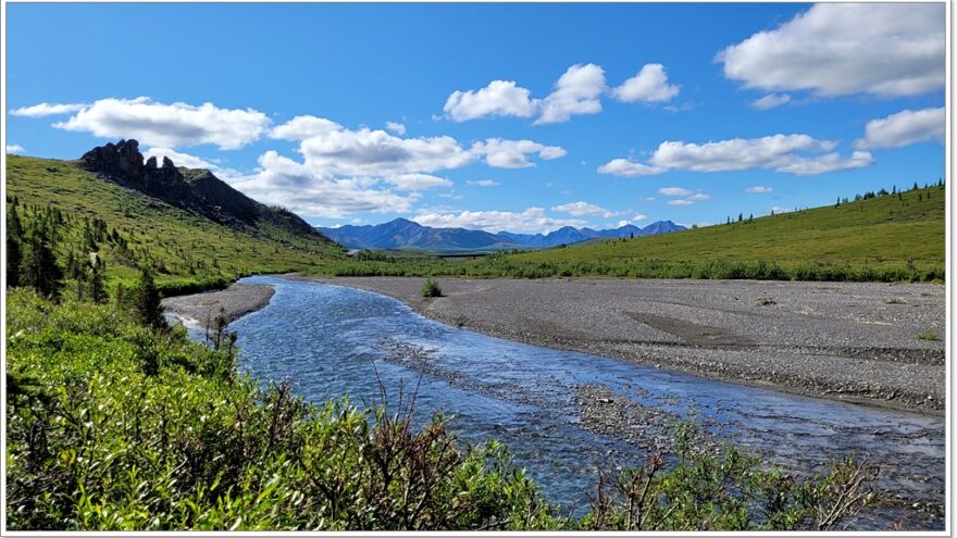 Denali Nationalpark - Savage River Trail - Alaska - USA