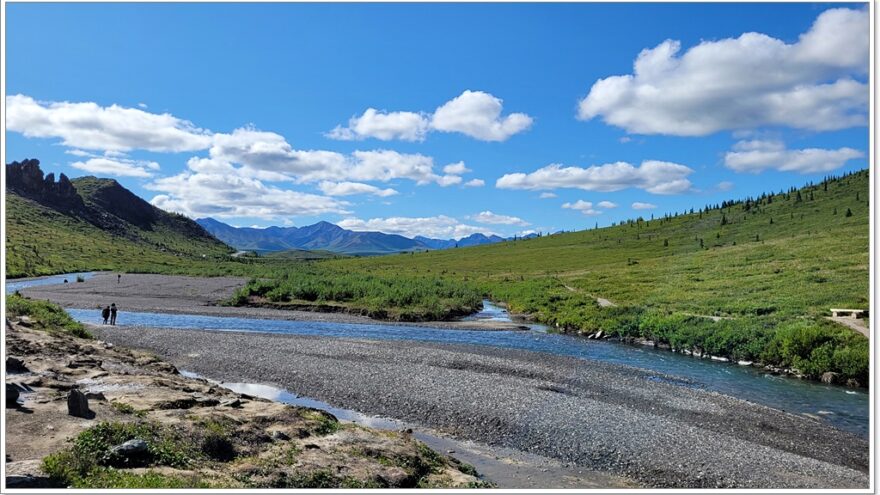 Denali Nationalpark - Savage River Trail - Alaska - USA