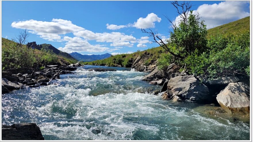 Denali Nationalpark - Savage River Trail - Alaska - USA