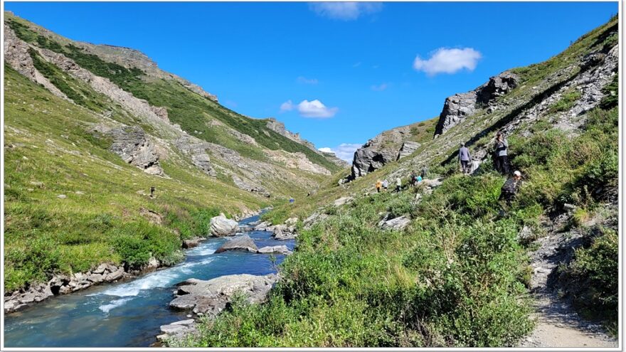 Denali Nationalpark - Savage River Trail - Alaska - USA