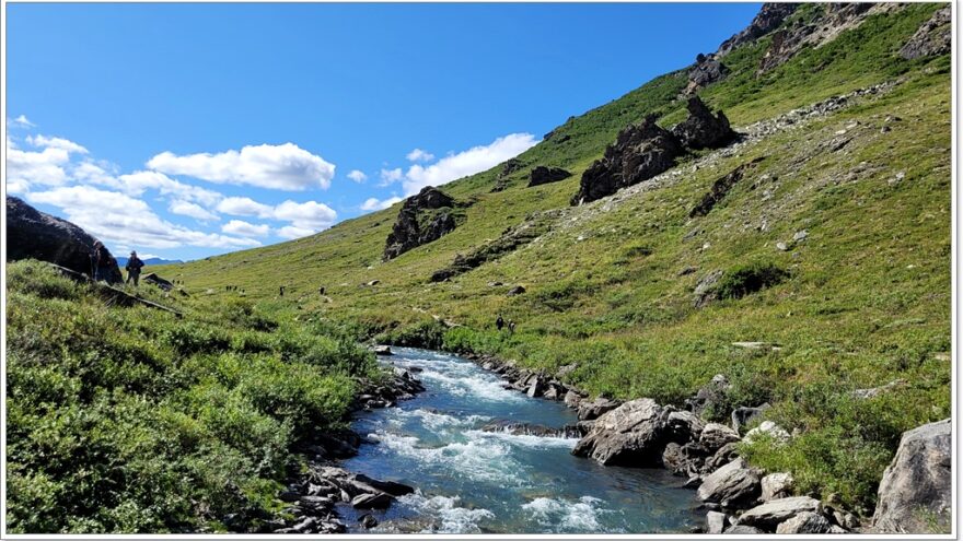 Denali Nationalpark - Savage River Trail - Alaska - USA