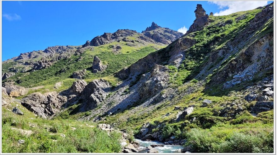 Denali Nationalpark - Savage River Trail - Alaska - USA