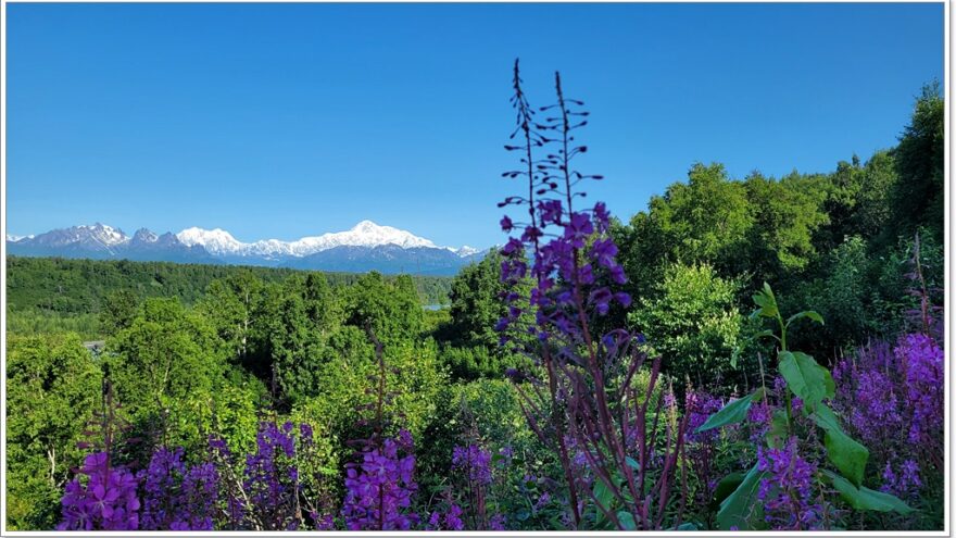 Denali State Park - Viewpoint - Denali - Alaska - USA