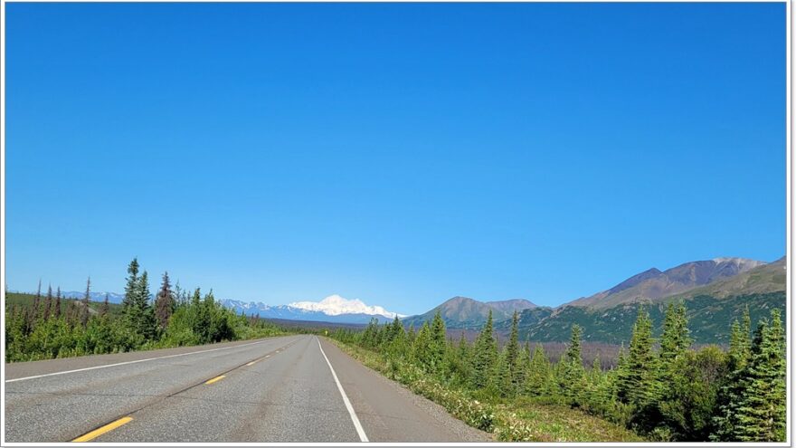 Denali State Park - Viewpoint - Denali - Alaska - USA