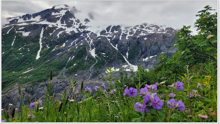 Exit Glacier - Seward - Alaska - USA