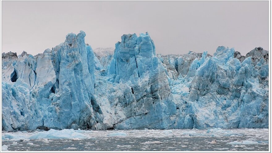 Lu-Lu Belle - Glacier Wildlife Cruises - Valdez - Alaska - USA