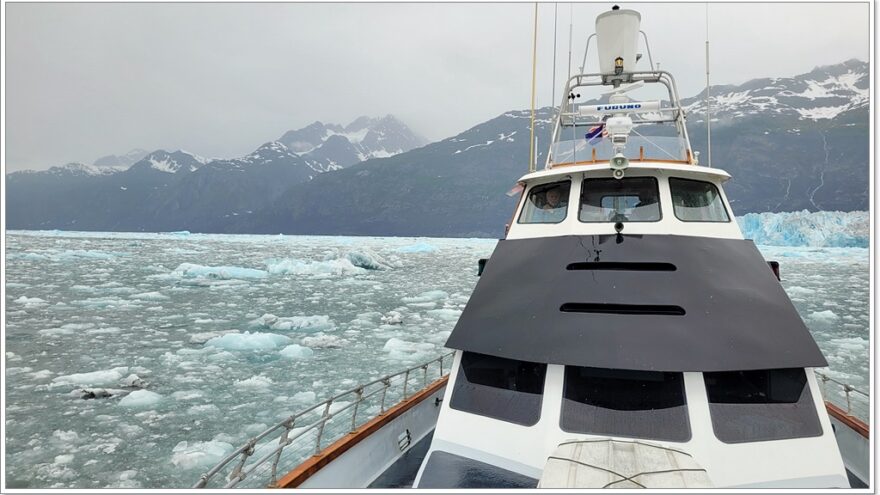 Lu-Lu Belle - Glacier Wildlife Cruises - Valdez - Alaska - USA