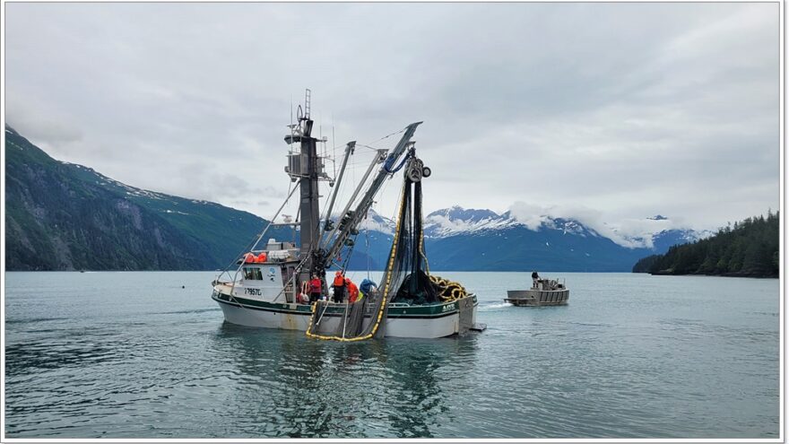 Lu-Lu Belle - Glacier Wildlife Cruises - Valdez - Alaska - USA