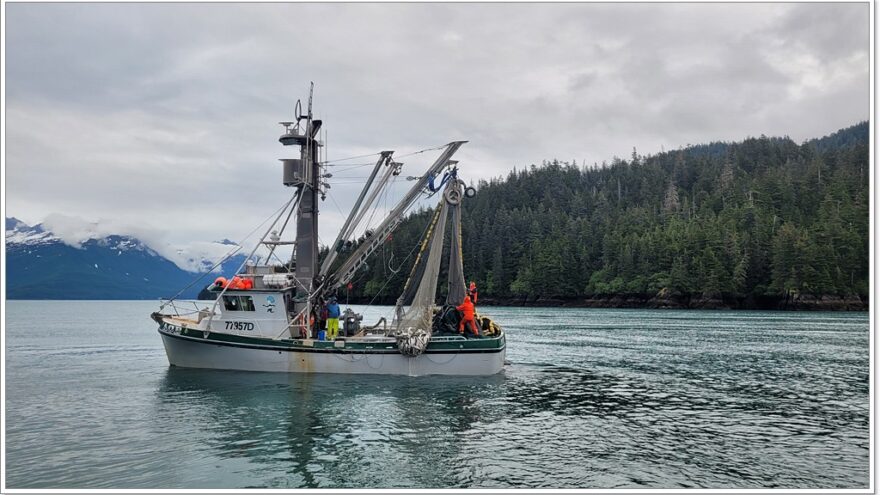 Lu-Lu Belle - Glacier Wildlife Cruises - Valdez - Alaska - USA