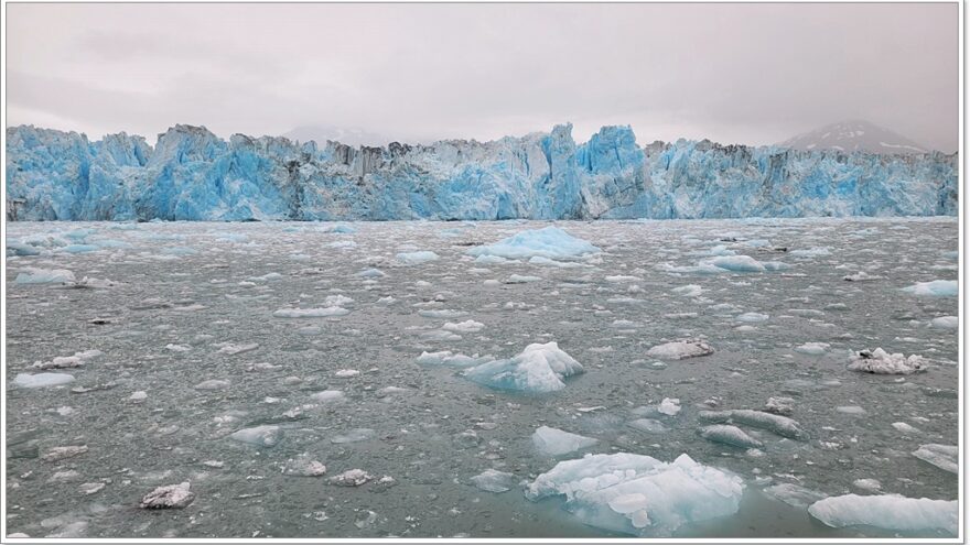 Lu-Lu Belle - Glacier Wildlife Cruises - Valdez - Alaska - USA