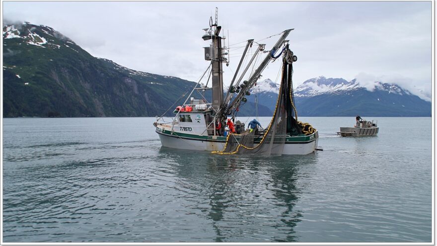 Lu-Lu Belle - Glacier Wildlife Cruises - Valdez - Alaska - USA