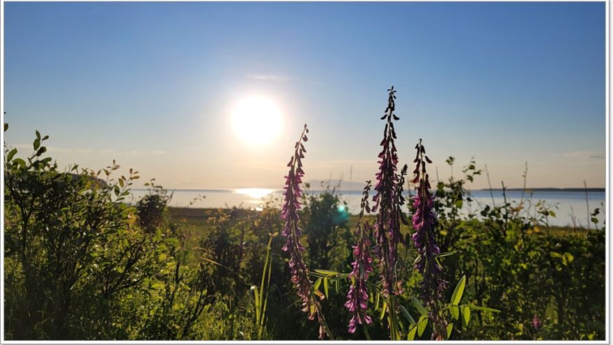 Lynn Ary Park - Anchorage - Alaska - USA