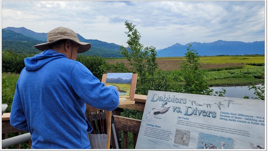 Potter Marsh Bird Sanctuary - Exit Glacier - Seward - Alaska - Anchorage