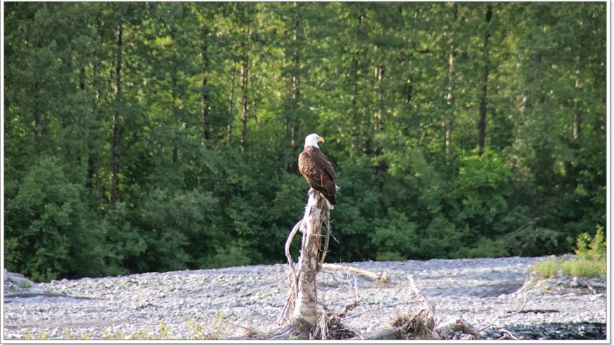 Valdez - Alaska - USA