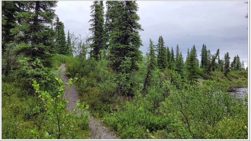 Wrangell St. Elias NP- Alaska - USA