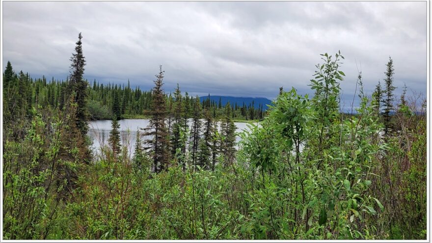 Wrangell St. Elias NP- Alaska - USA