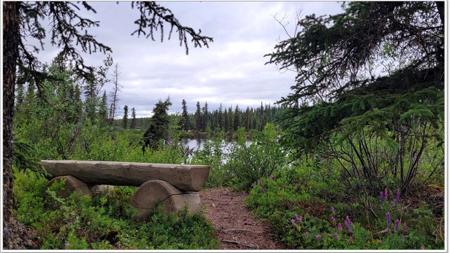 Wrangell St. Elias NP- Alaska - USA