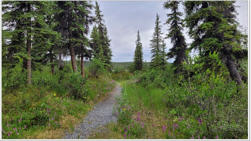 Wrangell St. Elias NP- Alaska - USA