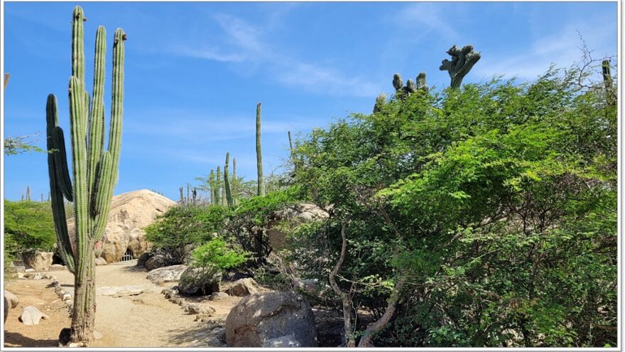 Ayo Rock - Aruba - Karibik