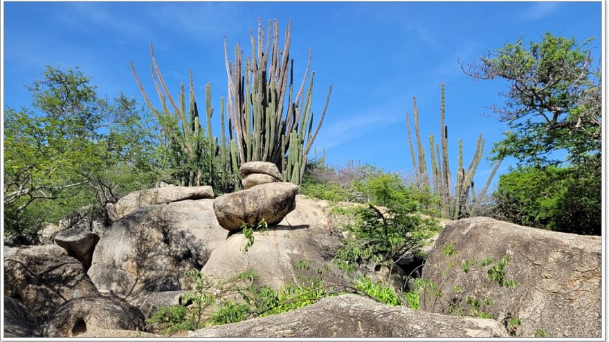 Ayo Rock - Aruba - Karibik