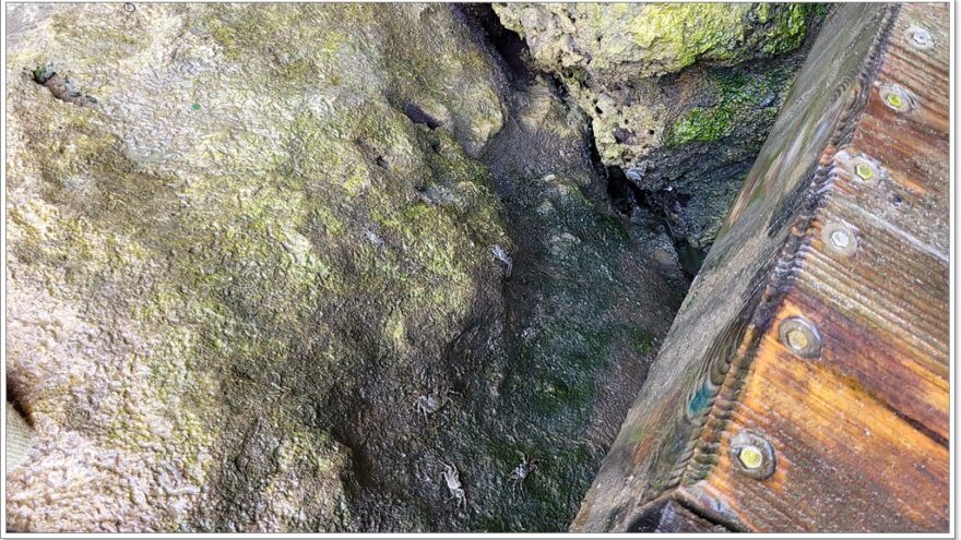 Bushiribana Gold Mine - Pool Cave - Natural Bridge - Aruba - Karibik