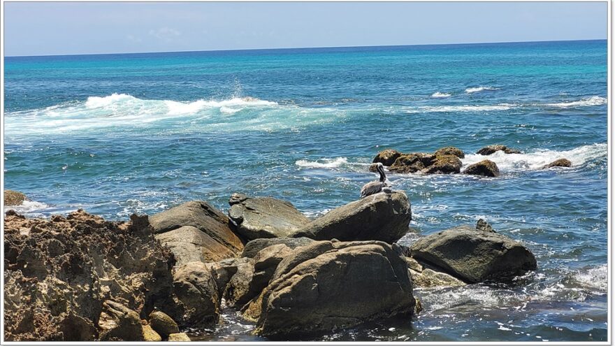 California Lighthouse - Arashi Beach - Aruba - Karibik