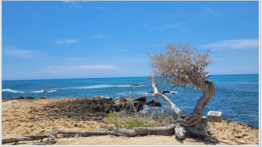 California Lighthouse - Arashi Beach - Aruba - Karibik