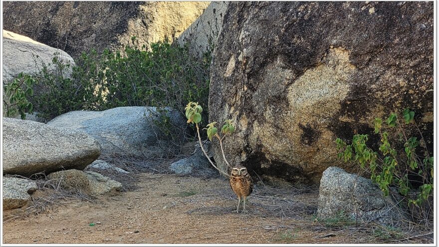 Casibari Rockformation - Shoco - Aruba - Karibik