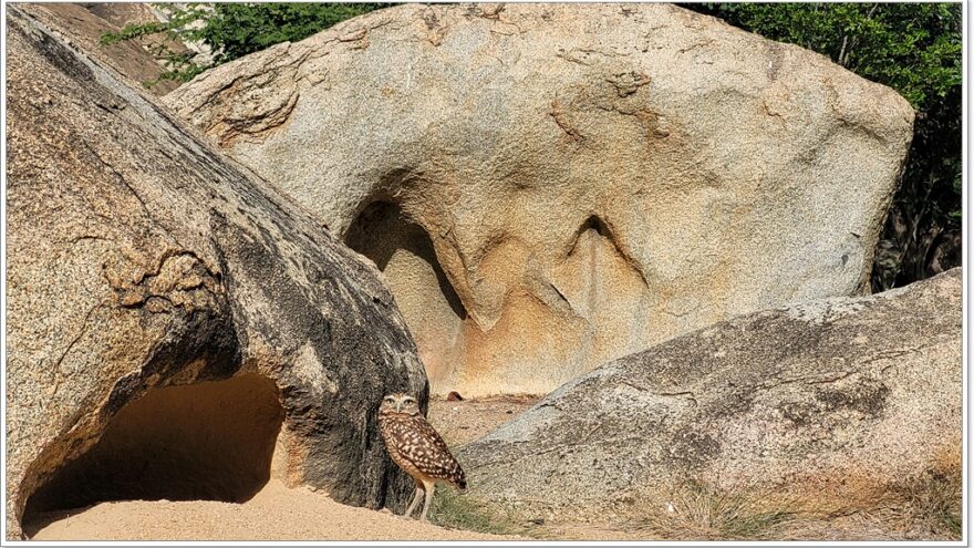 Casibari Rockformation - Shoco - Aruba - Karibik