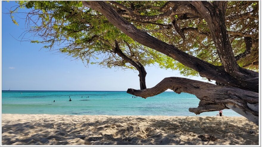 Eagle Beach - Aruba - Karibik