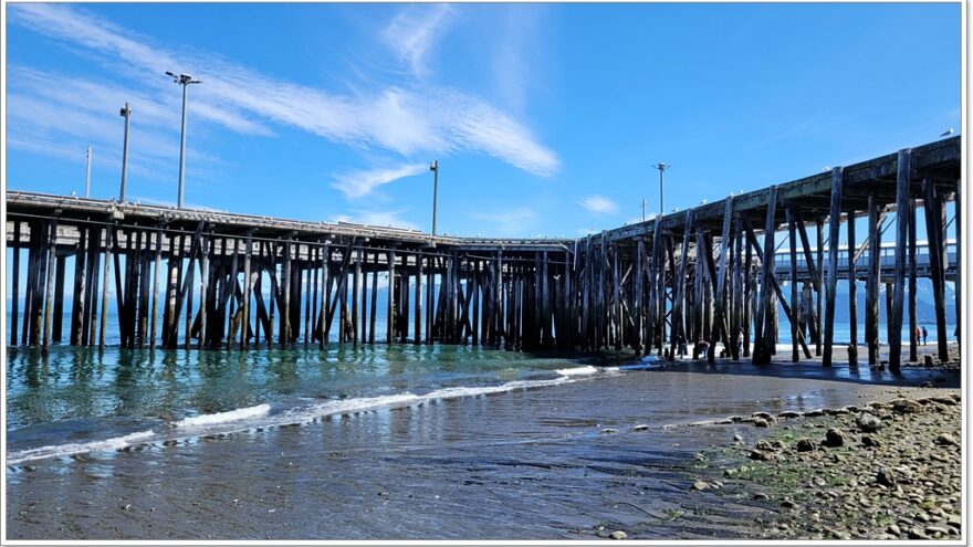 Homer - Alaska - USA