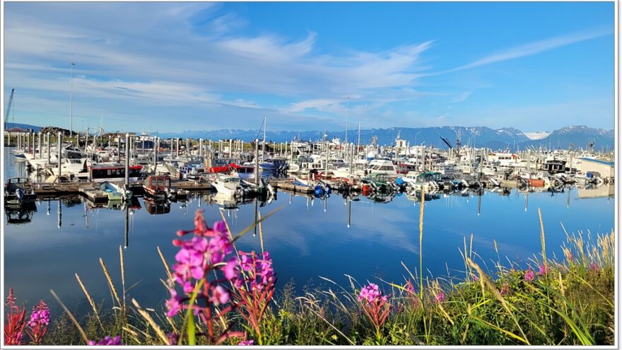 Homer - Alaska - USA