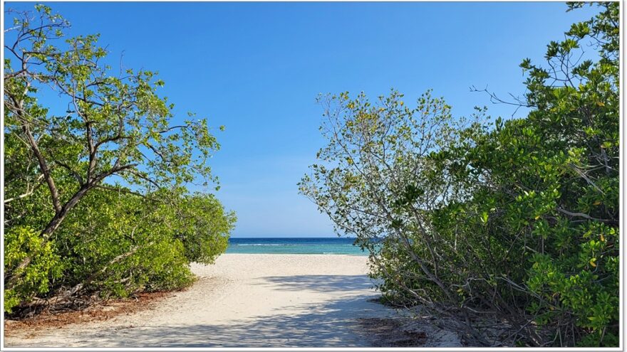 Mangelhalt Beach - Aruba - Karibk