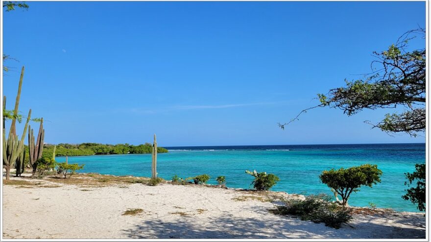 Mangelhalt Beach - Aruba - Karibk