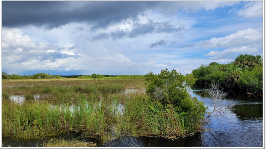 Everglades - Everglade City - Airboottour - Boardwalk - Florida