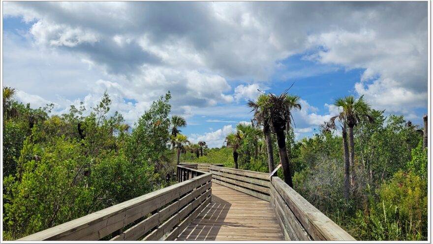 Everglades - Everglade City - Airboottour - Boardwalk - Florida