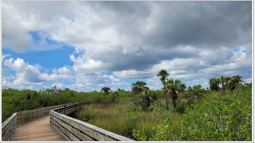 Everglades - Everglade City - Airboottour - Boardwalk - Florida