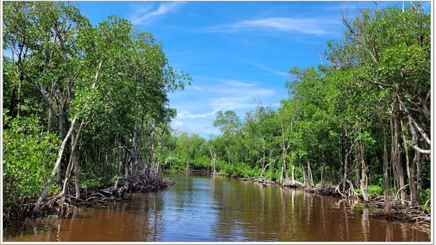 Everglades - Everglade City - Airboottour - Boardwalk - Florida