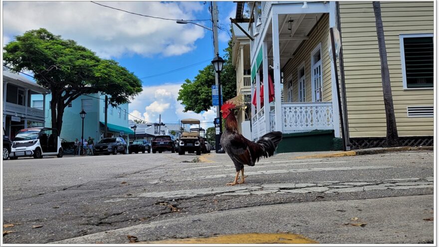 Key West - Florida