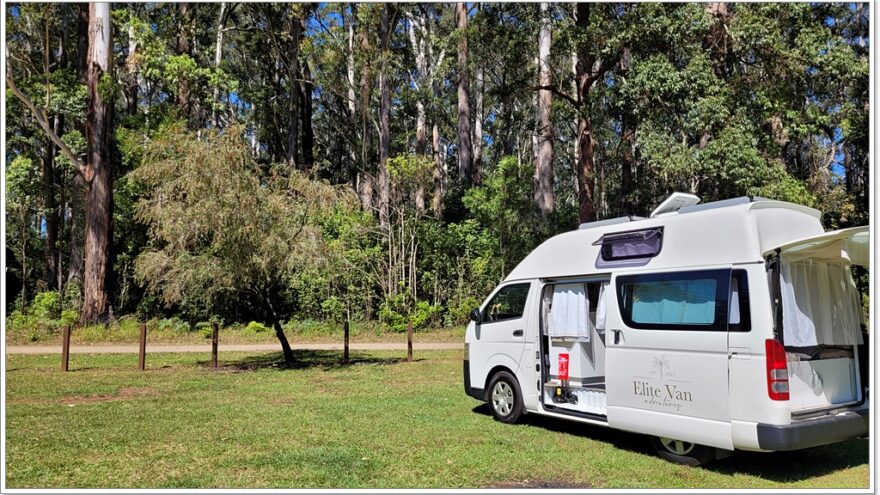 Lansdowne Forest - Australien - down under