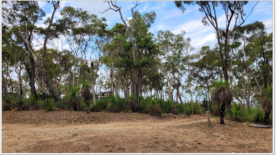 Agnes Water - Grass Trees 1770 Eco Camp - Queensland - Australien