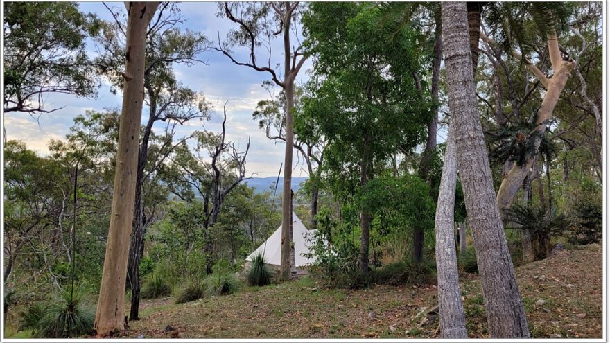 Agnes Water - Grass Trees 1770 Eco Camp - Queensland - Australien