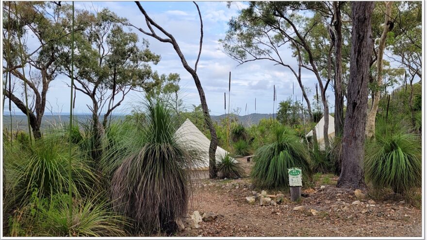 Agnes Water - Grass Trees 1770 Eco Camp - Queensland - Australien